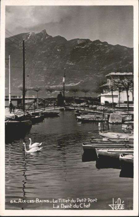 Aix-les-Bains Hafen Schwan Schiff