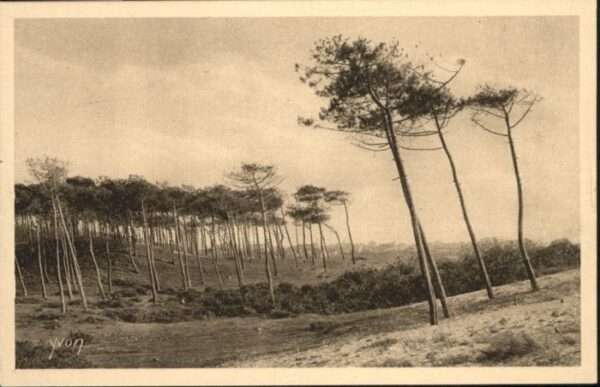 Landes