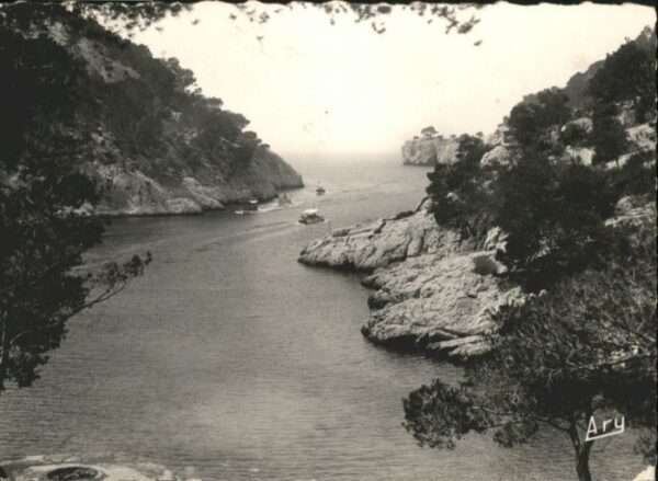 Cassis Port Pin