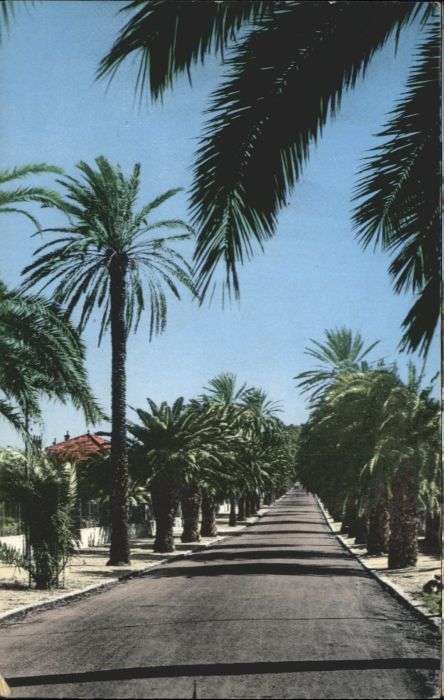 Hyeres
