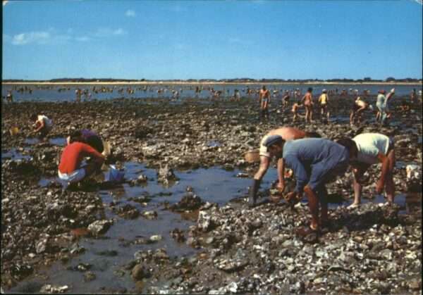 Ile de Re