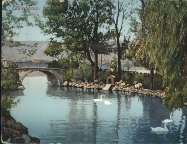 Zuerich rücke Schwan x