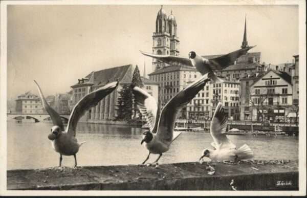 Zuerich öwen x