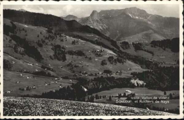 Vallon Sonloup Rochers de Naye