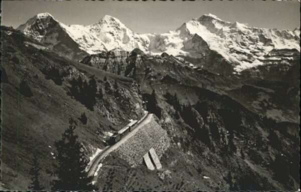 Schynige Platte Jungfrau Mönch Eiger