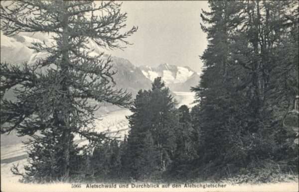 Aletschgletscher