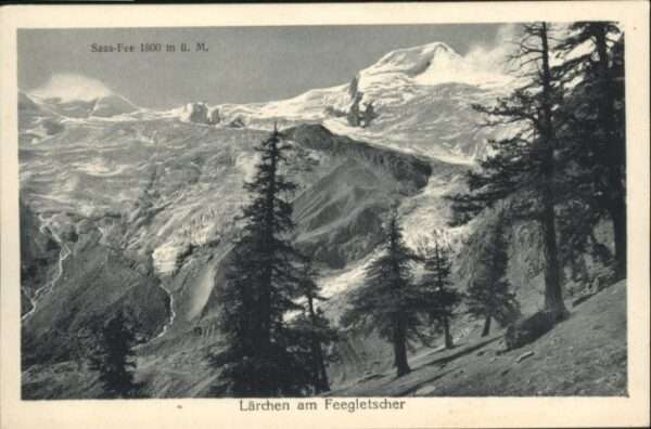 Saas-Fee Lärchen Feegletscher