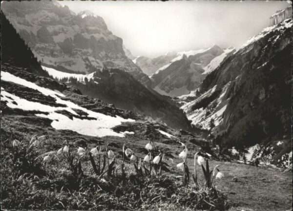 Alpstein Säntis
