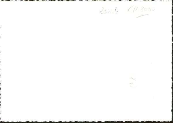 Zuerich Handschriftlich] Schwan – Bild 2