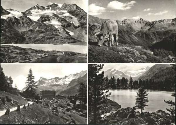 Piz Cambrena Passo Bernina Valle Campo Kuh