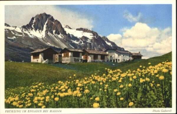 Maloja GR Maloja Frühling Engadin