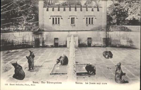 Bern BE Bern Bärengraben