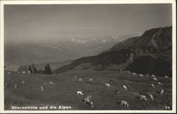 Stierenhuette ühe *