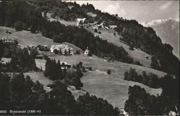 Braunwald GL Braunwald