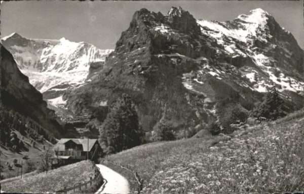 Grindelwald Fiescherwand Eiger