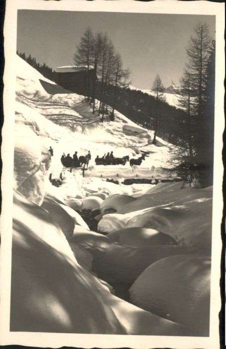 Davos GR Davos Schlittenpartie Pferd
