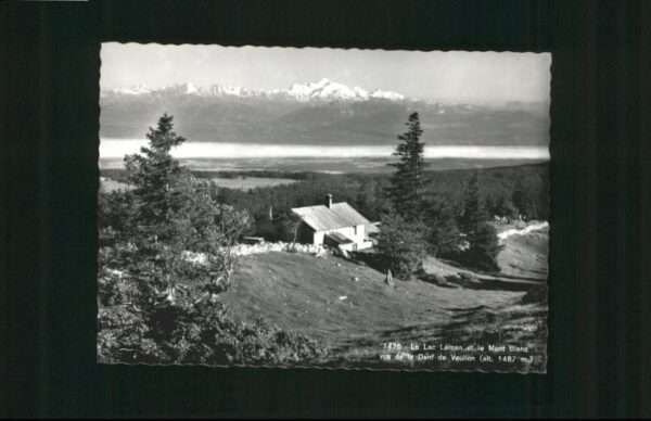 Vaulion [Stempelabschlag] Lac Leman Mont Blanc
