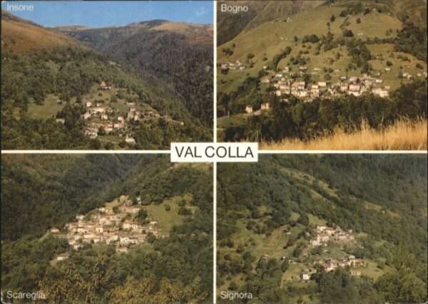 Colla Insone Bogno Scareglia Signora