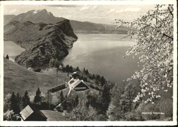 Vitznau Berg Hotel Wissifluh