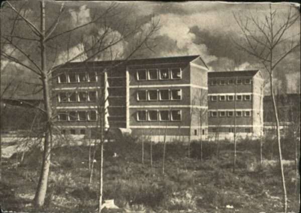 Saldana Colegio San Francisco Javier
