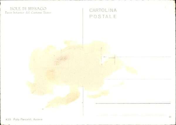 Brissago TI Brissago Parco Botanico Cantone Ticino – Bild 2