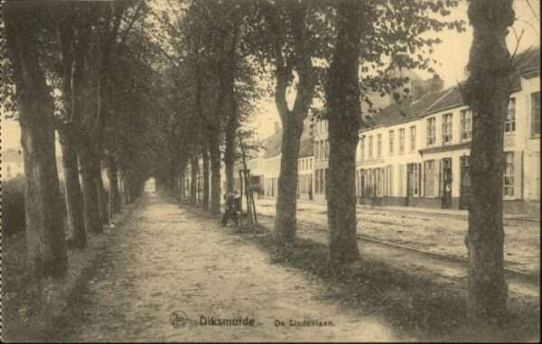 Diksmuide Flandre Diksmuide Lindenlaan