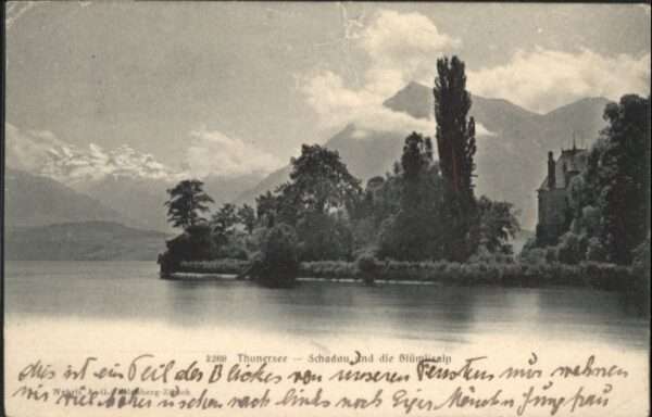Thun-Schadau Blümlisalp