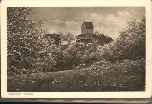 Uster ZH Uster Schloss