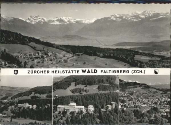 Faltigberg Heistätte Wald
