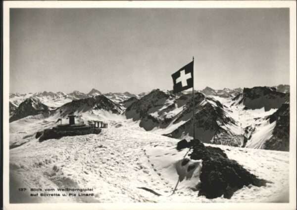 Silvretta Piz Linard Fahne