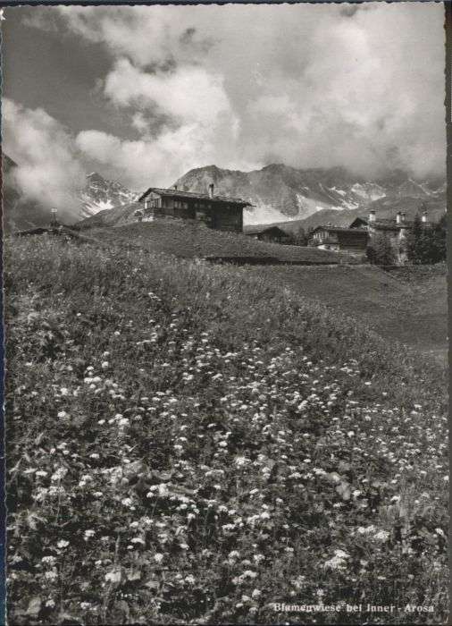 Innerarosa Blumenwiese