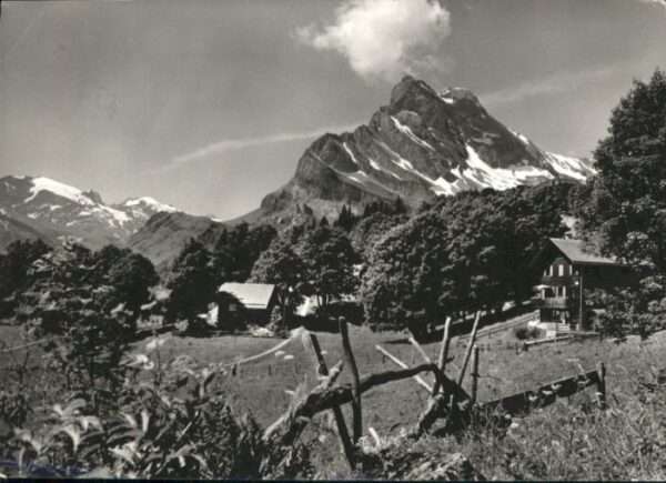 Braunwald GL Braunwald Ortstock