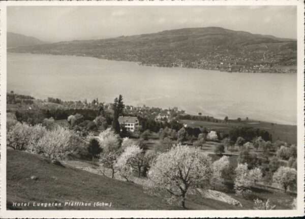 Pfaeffikon SZ otel Luegeten