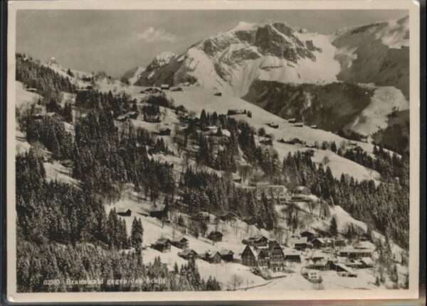 Braunwald GL Braunwald Schilt