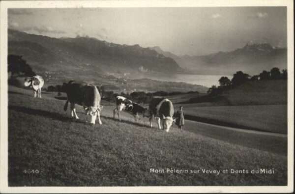 Vevey VD Vevey Mont Pelerin Dents du Midi