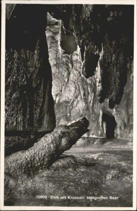Baar ZG Baar Dom Krokodil Höllgrotte
