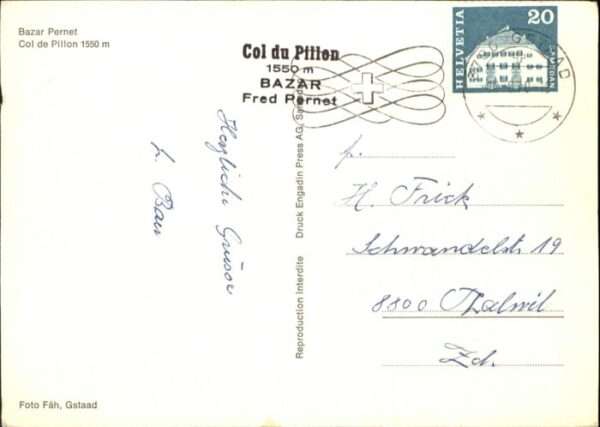 Col du Pillon Bazar Pernet – Bild 2