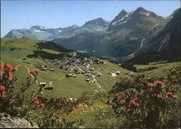 Innerarosa
