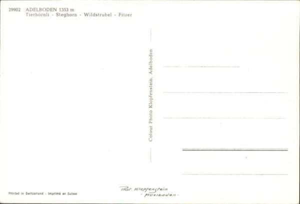 Adelboden Tierhörnli Steghorn Wildstrubel Fitzer – Bild 2