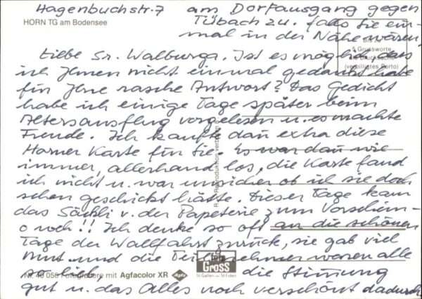 Horn – Bild 2