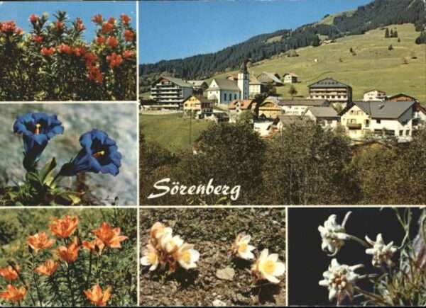 Soerenberg LU Sörenberg Blumen