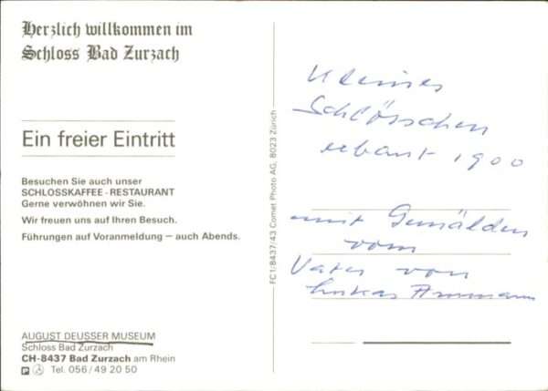Zurzach Fliegeraufnahme August Deusser Museum – Bild 2