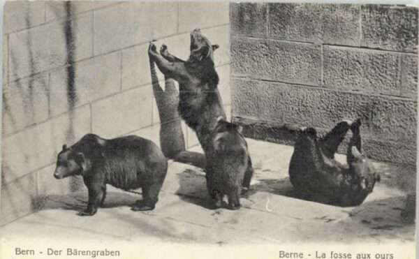 Bern BE Bern Bärengraben