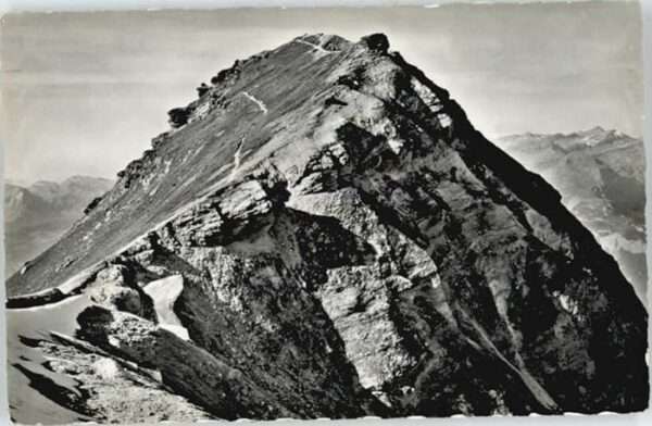 Bella Tola