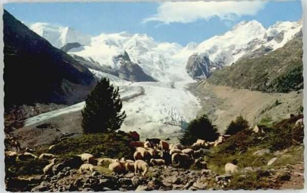 Piz Palue orteratschgletscher