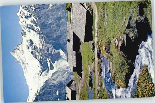 Grindelwald First Bachläger Schreckhorn