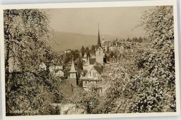 Weggis Vierwaldstaettersee Weggis