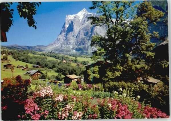 Grindelwald Wetterhorn
