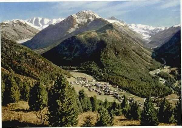 Pontresina Palü Roseggruppe