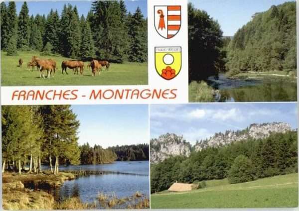 Franches-Montagnes